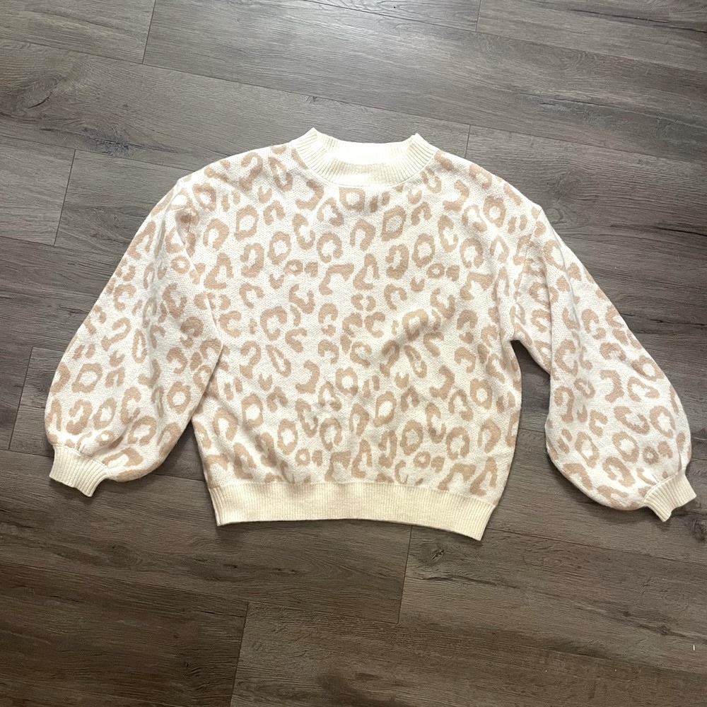Kaileigh Cheetah Sweater
